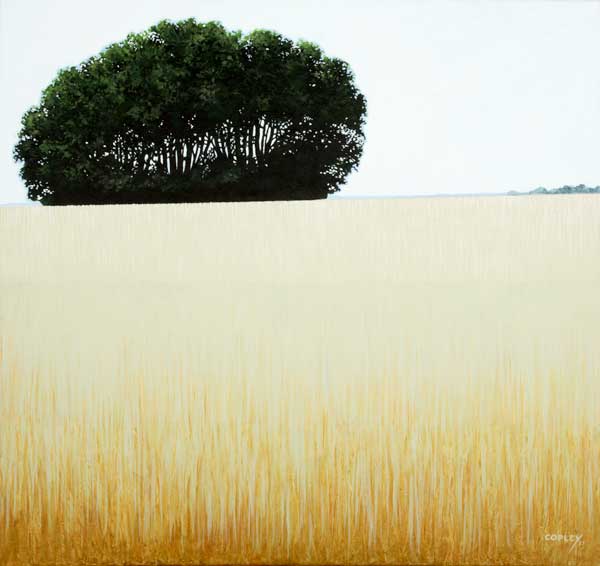 a small stand of green leafy trees on the horizon with a field of gold in the foreground