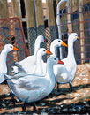 paintiing of 6 geese walking through a gate