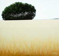 a small stand of green leafy trees on the horizon with a field of gold in the foreground