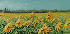 painting of a sunflower field